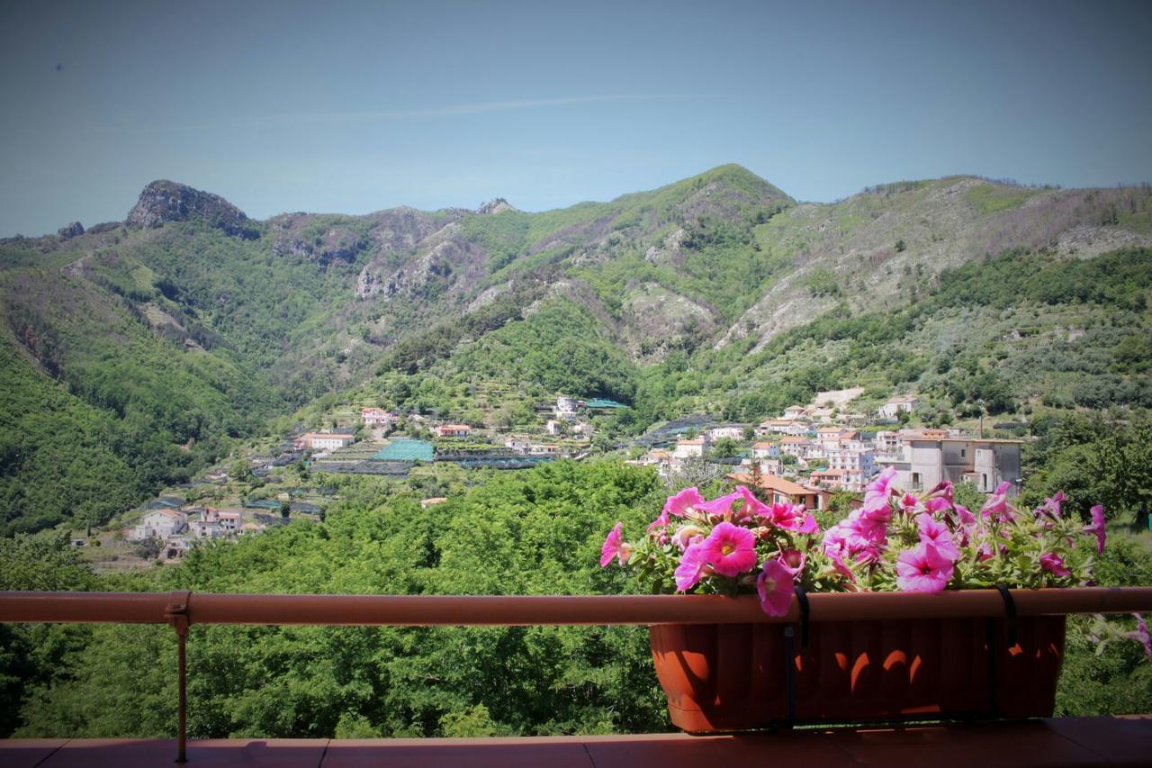Tra I Monti Bed and Breakfast Tramonti Εξωτερικό φωτογραφία