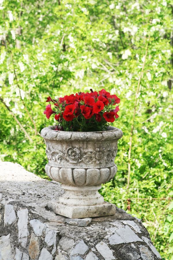 Tra I Monti Bed and Breakfast Tramonti Εξωτερικό φωτογραφία