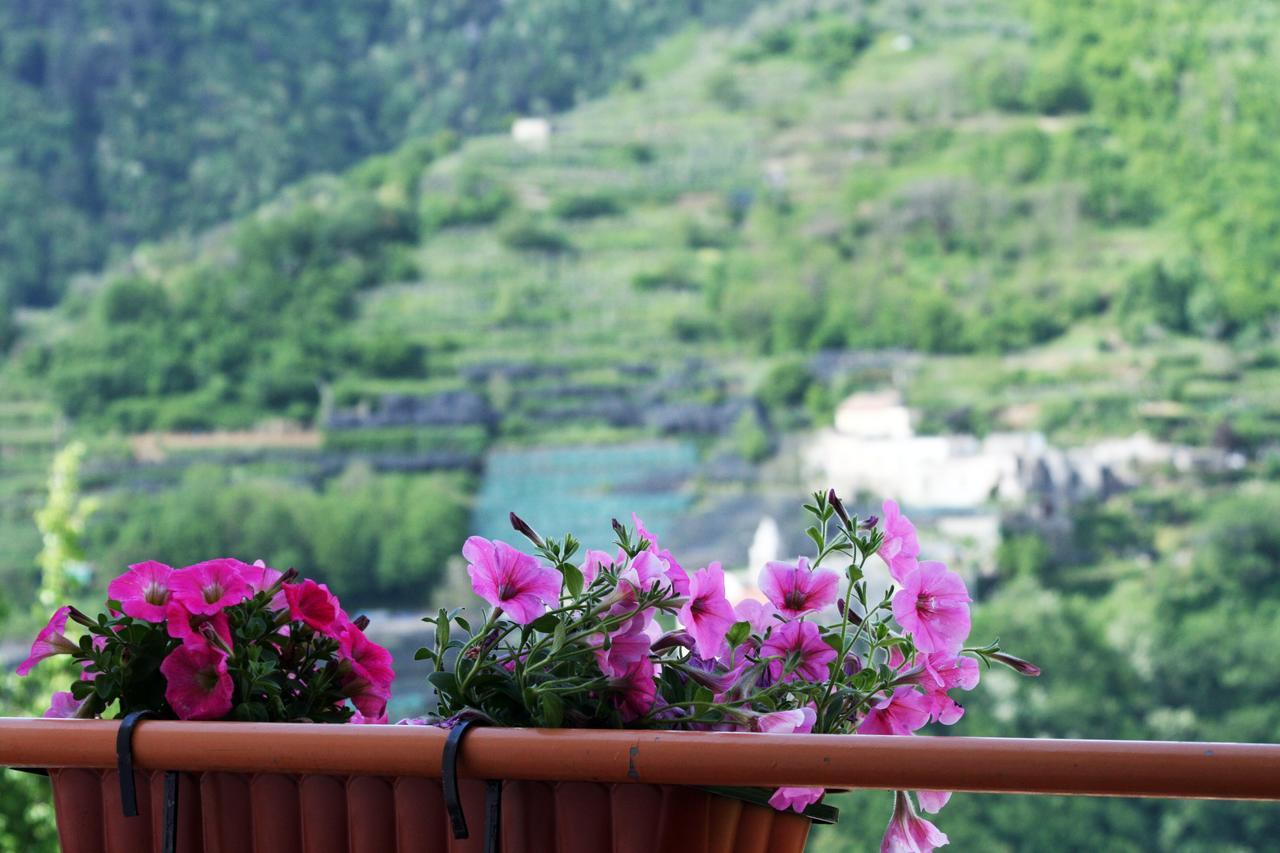 Tra I Monti Bed and Breakfast Tramonti Εξωτερικό φωτογραφία