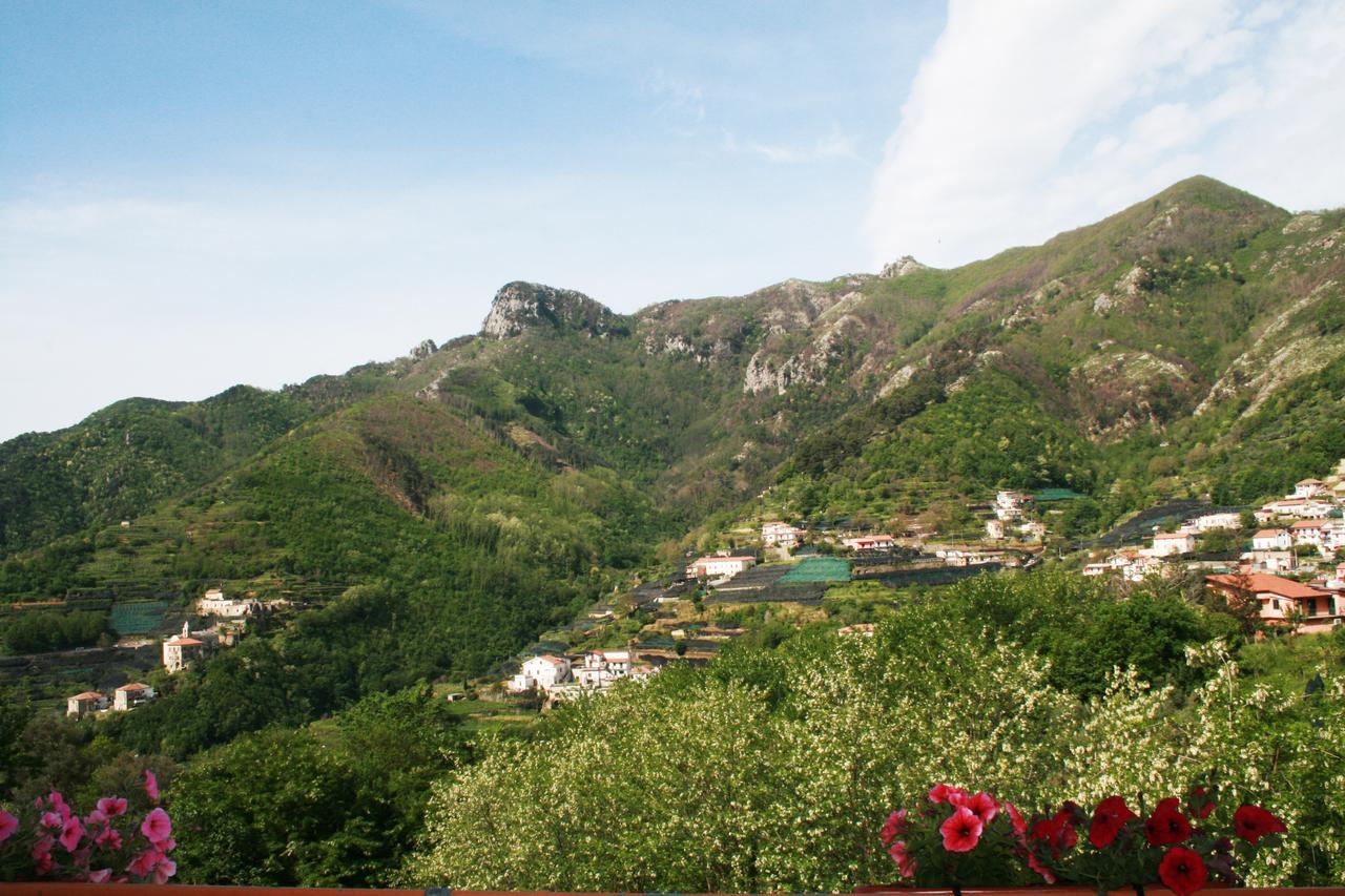 Tra I Monti Bed and Breakfast Tramonti Εξωτερικό φωτογραφία